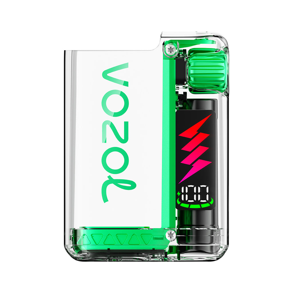 Vozol Vista Plug-In System (Device Only)